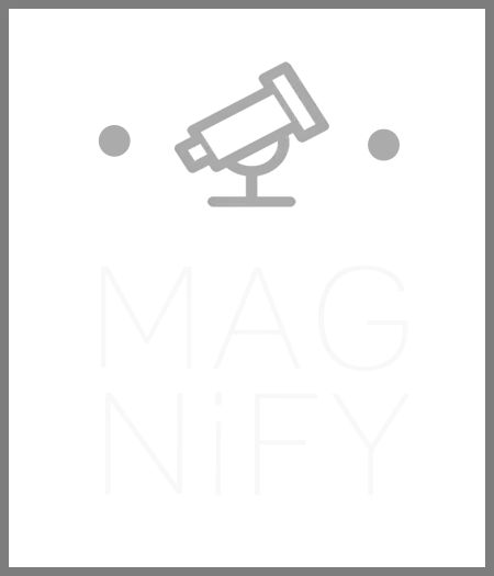 Magnify Conference